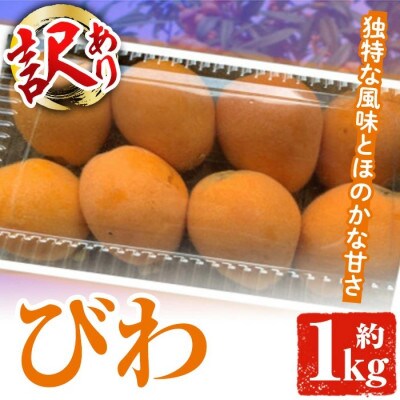 先行予約!2026年5月上旬以降順次発送 訳あり びわ 約1kg 【松永青果】akn053-10