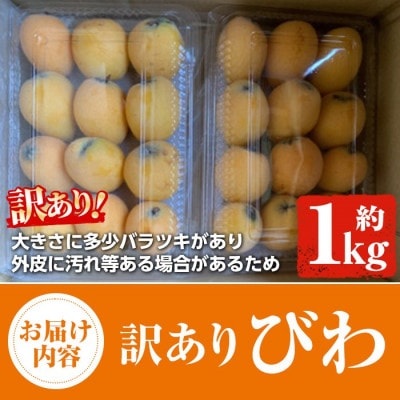 先行予約!2026年5月上旬以降順次発送 訳あり びわ 約1kg 【松永青果】akn053-10