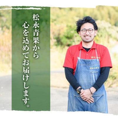 先行予約!2026年5月上旬以降順次発送 訳あり びわ 約1kg 【松永青果】akn053-10