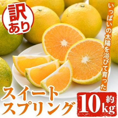 先行受付! 12月中旬発送 訳あり スイートスプリング (約10kg)【松永青果】akn053-11