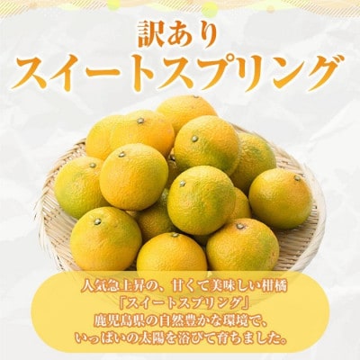 先行受付! 12月中旬発送 訳あり スイートスプリング (約10kg)【松永青果】akn053-11