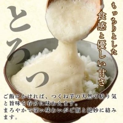 先行予約!11月以降順次発送 つくね芋 (大薯) (約5kg) 【松永青果】akn053-12