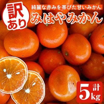 先行予約!12月中旬以降発送 訳あり みはやみかん 約5kg 【松永青果】akn053-13