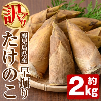 訳あり! 鹿児島県産 早掘りたけのこ 約2kg 【松永青果】akn053-29