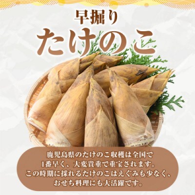 訳あり!鹿児島県産 早掘りたけのこ 約3kg 【松永青果】akn053-34