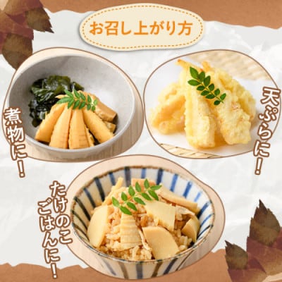 訳あり!鹿児島県産 早掘りたけのこ 約3kg 【松永青果】akn053-34