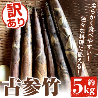 数量限定 訳あり!古参竹 約5kg【先行予約2026年4月下旬～発送】【松永青果】akn053-22