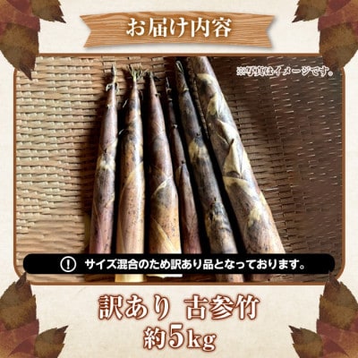 数量限定 訳あり!古参竹 約5kg【先行予約2026年4月下旬～発送】【松永青果】akn053-22