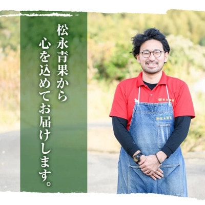 数量限定 訳あり!古参竹 約5kg【先行予約2026年4月下旬～発送】【松永青果】akn053-22