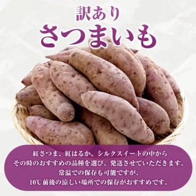 訳あり さつまいも　約10キロ　akn053-20