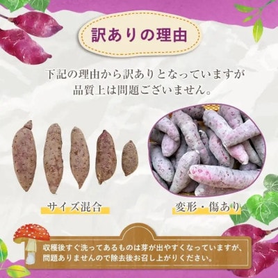 訳あり さつまいも　約10キロ　akn053-20