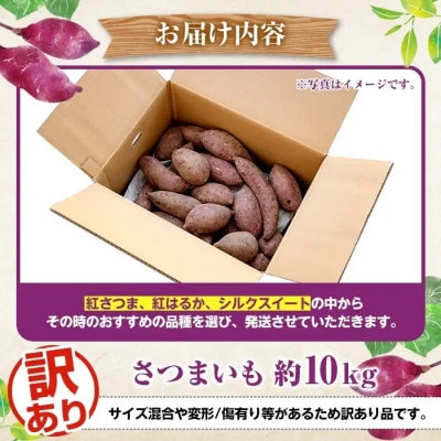 訳あり さつまいも　約10キロ　akn053-20