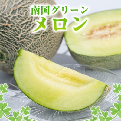 数量限定! 鹿児島県産 南国グリーンメロン 4玉(計6kg)【先行受付! 2026年6月下旬～発送】
