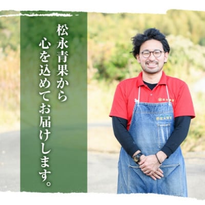 数量限定! 鹿児島県産 南国グリーンメロン 4玉(計6kg)【先行受付! 2026年6月下旬～発送】