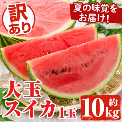 訳あり 大玉すいか 1玉(約10kg)【先行予約2026年6月下旬～】【松永青果】akn053-21