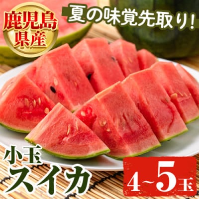 【先行予約! 2026年5月中旬～】 小玉スイカ 約4kg 【松永青果】akn053-25