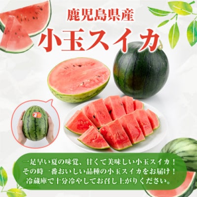 【先行予約! 2026年5月中旬～】 小玉スイカ 約4kg 【松永青果】akn053-25