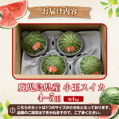 【先行予約! 2026年5月中旬～】 小玉スイカ 約4kg 【松永青果】akn053-25