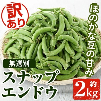 先行予約! 訳あり!鹿児島県産 スナップエンドウ (約2kg)  【松永青果】akn053-07