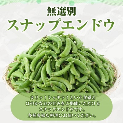 先行予約! 訳あり!鹿児島県産 スナップエンドウ (約2kg)  【松永青果】akn053-07