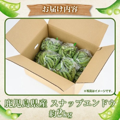 先行予約! 訳あり!鹿児島県産 スナップエンドウ (約2kg)  【松永青果】akn053-07