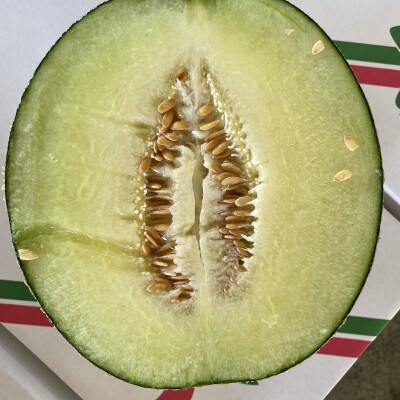 南国グリーン6玉