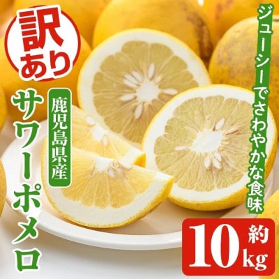 訳あり サワーポメロ 約10kg【2026年1月以降順次発送】【松永青果】akn053-16