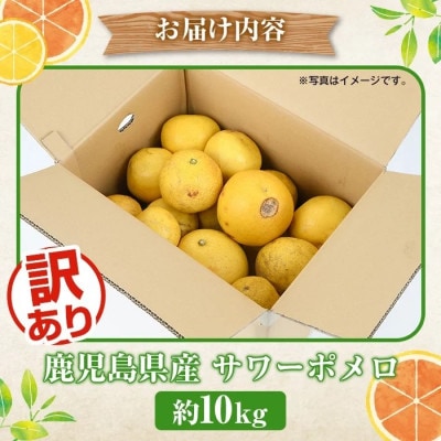 訳あり サワーポメロ 約10kg【2026年1月以降順次発送】【松永青果】akn053-16