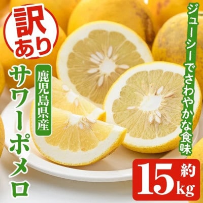 �󂠂� �T���[�|���� ��15kg�y2026�N1���ȍ~���������z�y���i�ʁzakn053-44