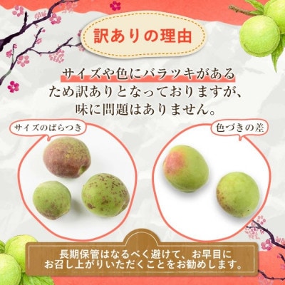 【先行予約!】訳あり! 鹿児島県産 南高梅 サイズ混合 約4kg【松永青果】akn053-09
