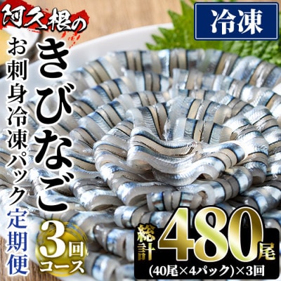 【毎月定期便】鹿児島県産!阿久根のきびなごお刺身セット 計480尾(40尾×4P×3回)全3回