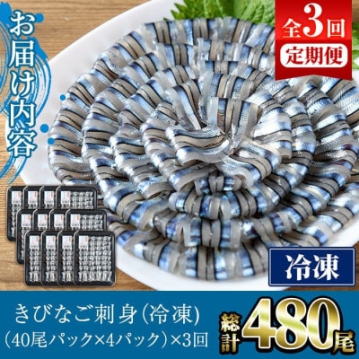 【毎月定期便】鹿児島県産!阿久根のきびなごお刺身セット 計480尾(40尾×4P×3回)全3回