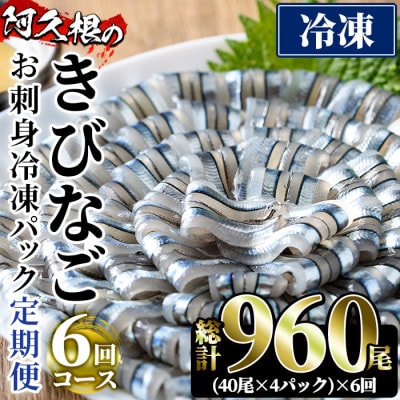 【毎月定期便】鹿児島県産!阿久根のきびなごお刺身セット 計960尾(40尾×4P×6回)全6回