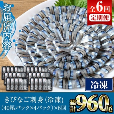 【毎月定期便】鹿児島県産!阿久根のきびなごお刺身セット 計960尾(40尾×4P×6回)全6回