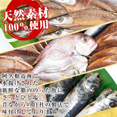 鹿児島県阿久根市産干物!新鮮さ一番のり薩摩のひらきセット(9種) 【川本商店】a-26-11