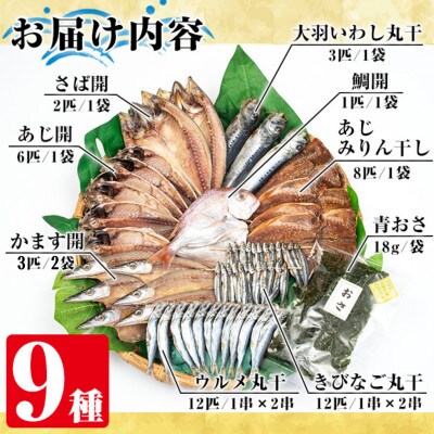鹿児島県阿久根市産干物!新鮮さ一番のり薩摩のひらきセット(9種) 【川本商店】a-26-11