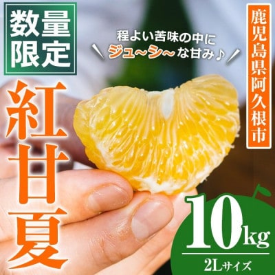 【先行予約受付中!】数量限定!鹿児島県産 紅甘夏 (10kg・2L) 【イロドリ】akn069-10