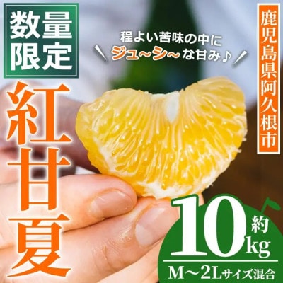 【先行予約受付中!】鹿児島県産 紅甘夏 (約10kg・M～2L) 【イロドリ】akn069-15
