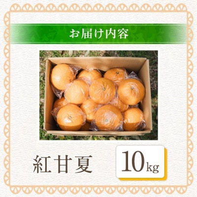 【先行予約受付中!】数量限定!鹿児島県産 紅甘夏 (10kg・2L) 【イロドリ】akn069-10