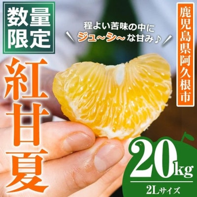 【先行予約受付中!】数量限定!鹿児島県産 紅甘夏 (20kg・2L) 【イロドリ】akn069-11