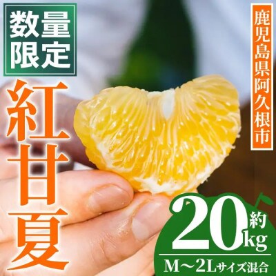 【先行予約受付中!】鹿児島県産 紅甘夏 (約20kg・M～2L) 【イロドリ】akn069-16