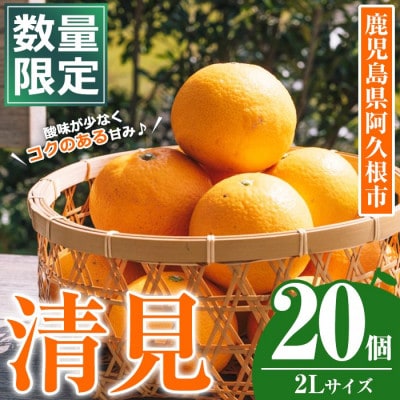 【先行予約受付中!】数量限定!鹿児島県産 清見 (20個・2L) 【イロドリ】akn069-09