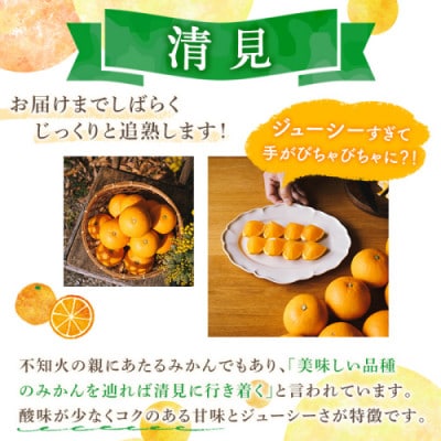 【先行予約受付中!】数量限定!鹿児島県産 清見 (20個・2L) 【イロドリ】akn069-09