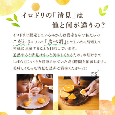 【先行予約受付中!】数量限定!鹿児島県産 清見 (20個・2L) 【イロドリ】akn069-09