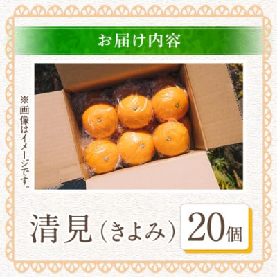 【先行予約受付中!】数量限定!鹿児島県産 清見 (20個・2L) 【イロドリ】akn069-09