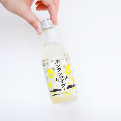 【かごしまの新特産品コンクール2023 入賞】ボンタンサイダー×鶴見 ”本酎ハイ”セット(阿久根市)