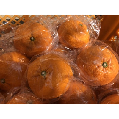 阿久根特産　紅甘夏　10kg