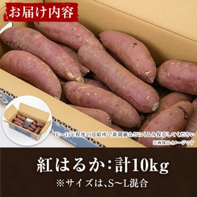 ＜訳あり＞鹿児島県産さつまいも「紅はるか」(計10kg)【合同会社グッドフィールド】12-106