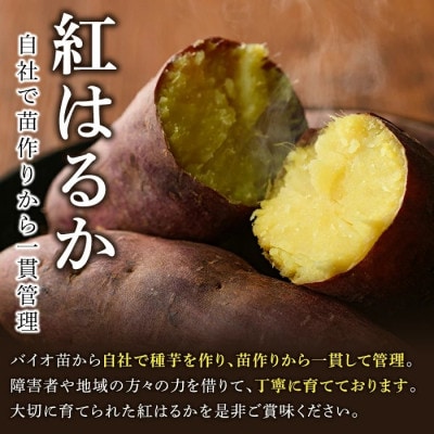 先行予約! <訳あり> 鹿児島県産 さつまいも「紅はるか」計10kg  akn056-08