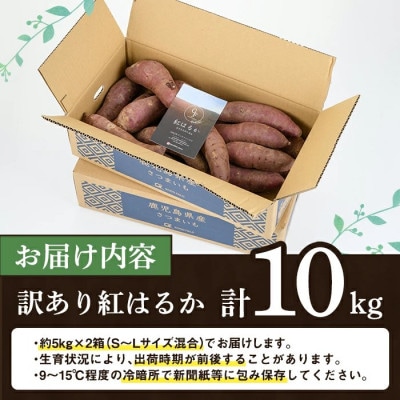 先行予約! <訳あり> 鹿児島県産 さつまいも「紅はるか」計10kg  akn056-08